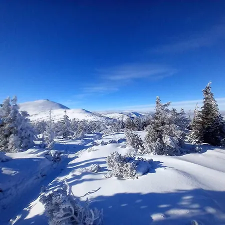 招待所 Yellow Horní Maršov