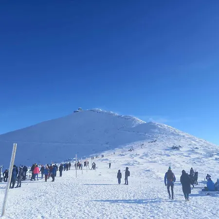 Yellow Horní Maršov