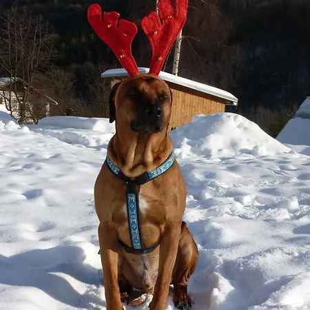 Yellow 招待所 Horní Maršov