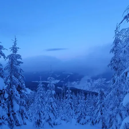 Yellow Horní Maršov