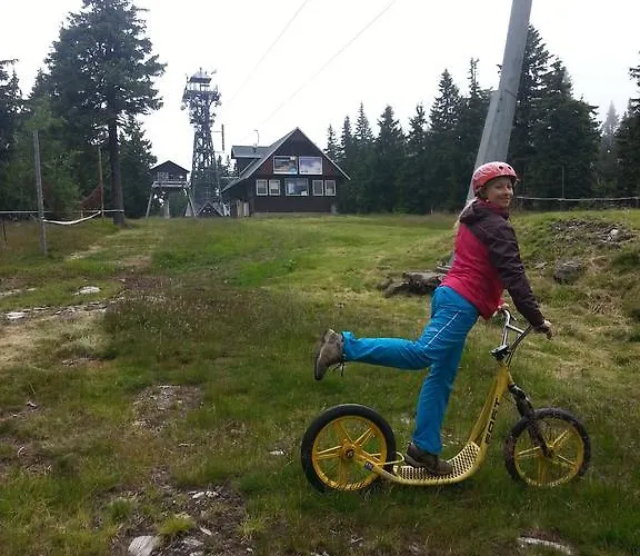Gæstehus Yellow Horní Maršov